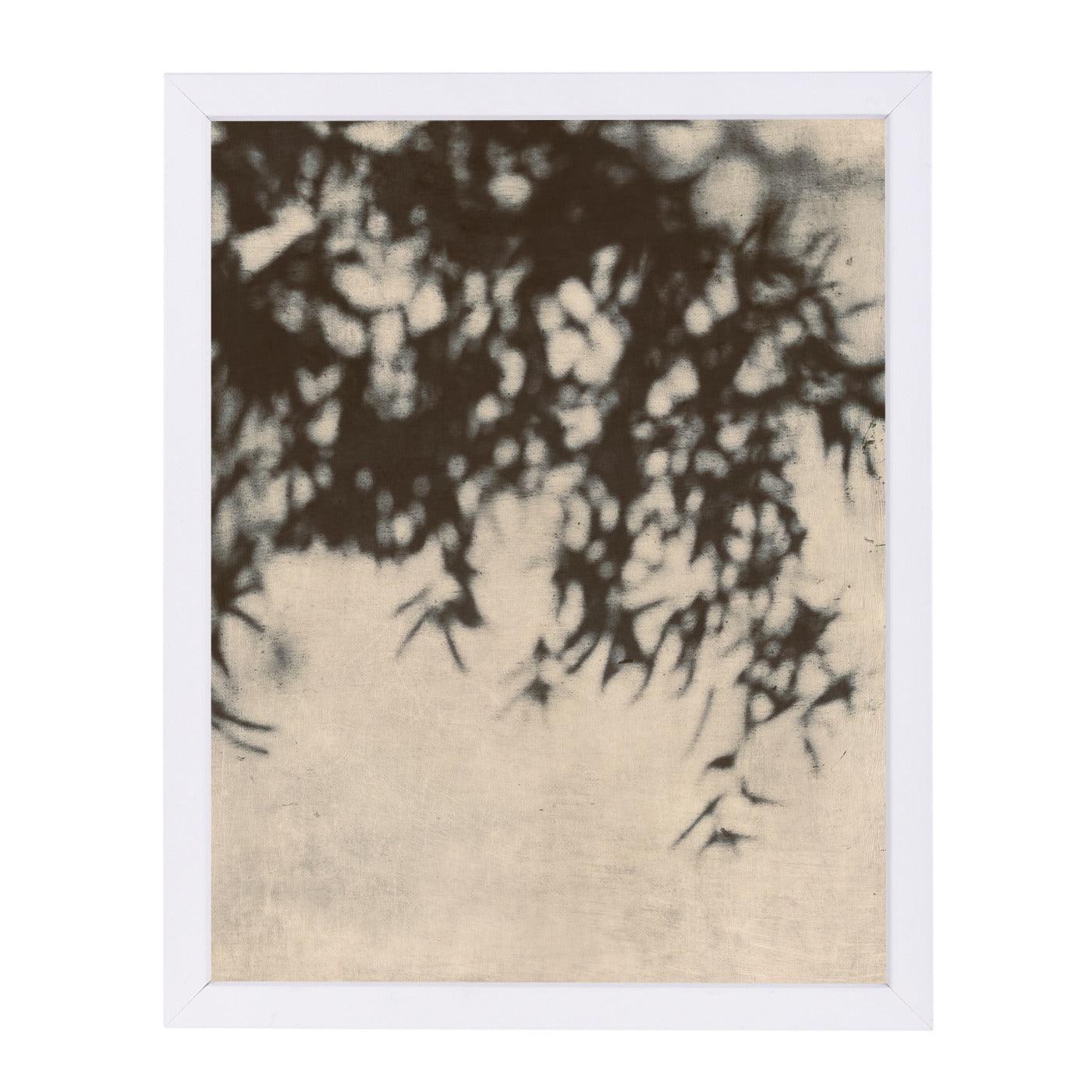 Shadowsviii By Chaos & Wonder Design - White Framed Print - Wall Art - Americanflat