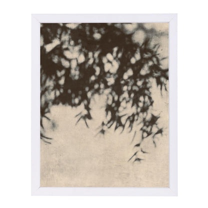 Shadowsviii By Chaos & Wonder Design - White Framed Print - Wall Art - Americanflat