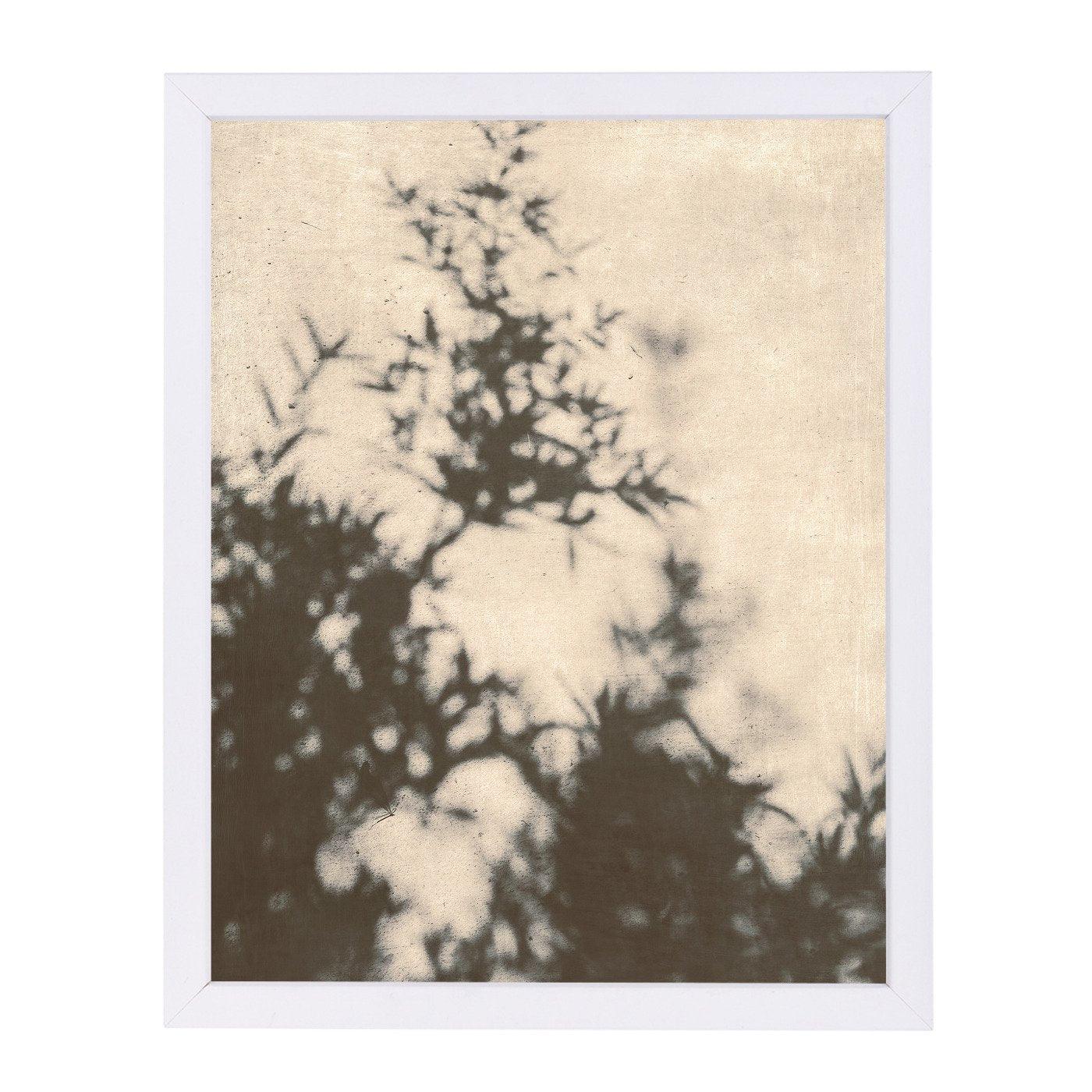 Shadowsvi By Chaos & Wonder Design - Framed Print - Americanflat
