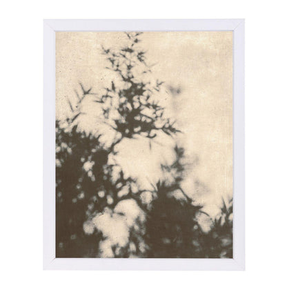Shadowsvi By Chaos & Wonder Design - Framed Print - Americanflat