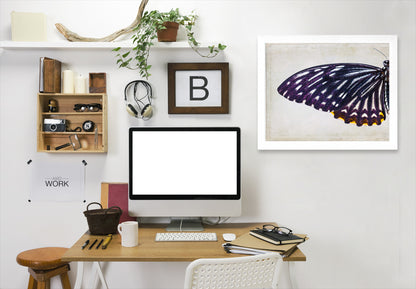 Purple Butterfly I By Chaos & Wonder Design - White Framed Print - Wall Art - Americanflat