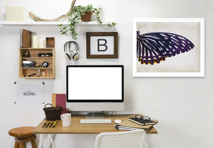 Purple Butterfly Ii By Chaos & Wonder Design - White Framed Print - Wall Art - Americanflat