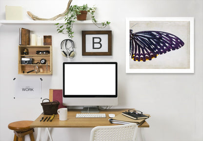 Purple Butterfly Ii By Chaos & Wonder Design - Framed Print - Americanflat