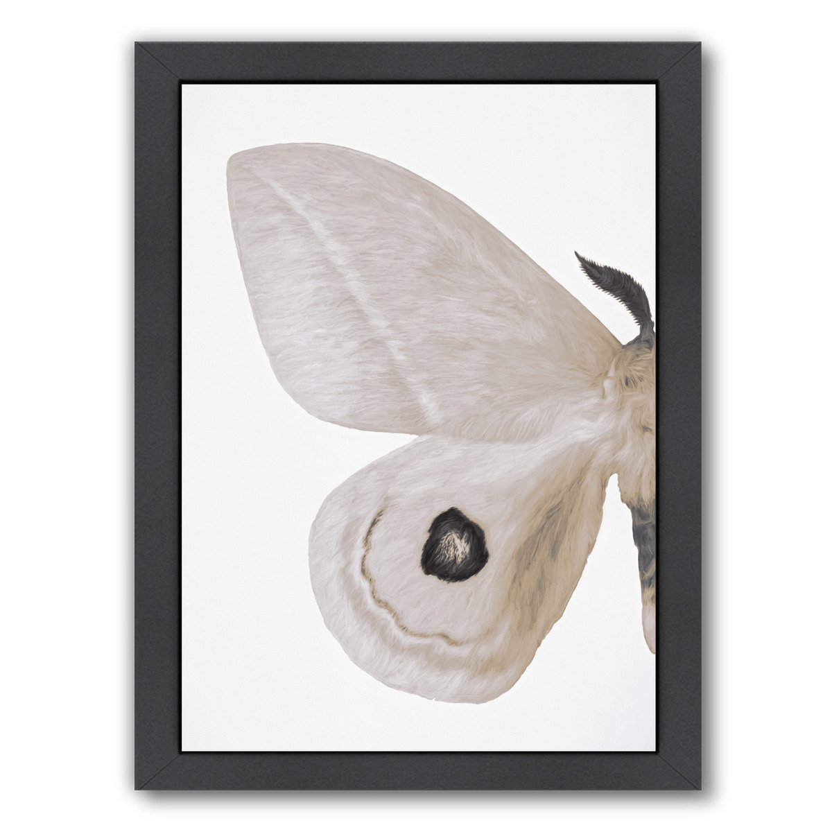Alt Silver Moth I By Chaos & Wonder Design - Black Framed Print - Wall Art - Americanflat