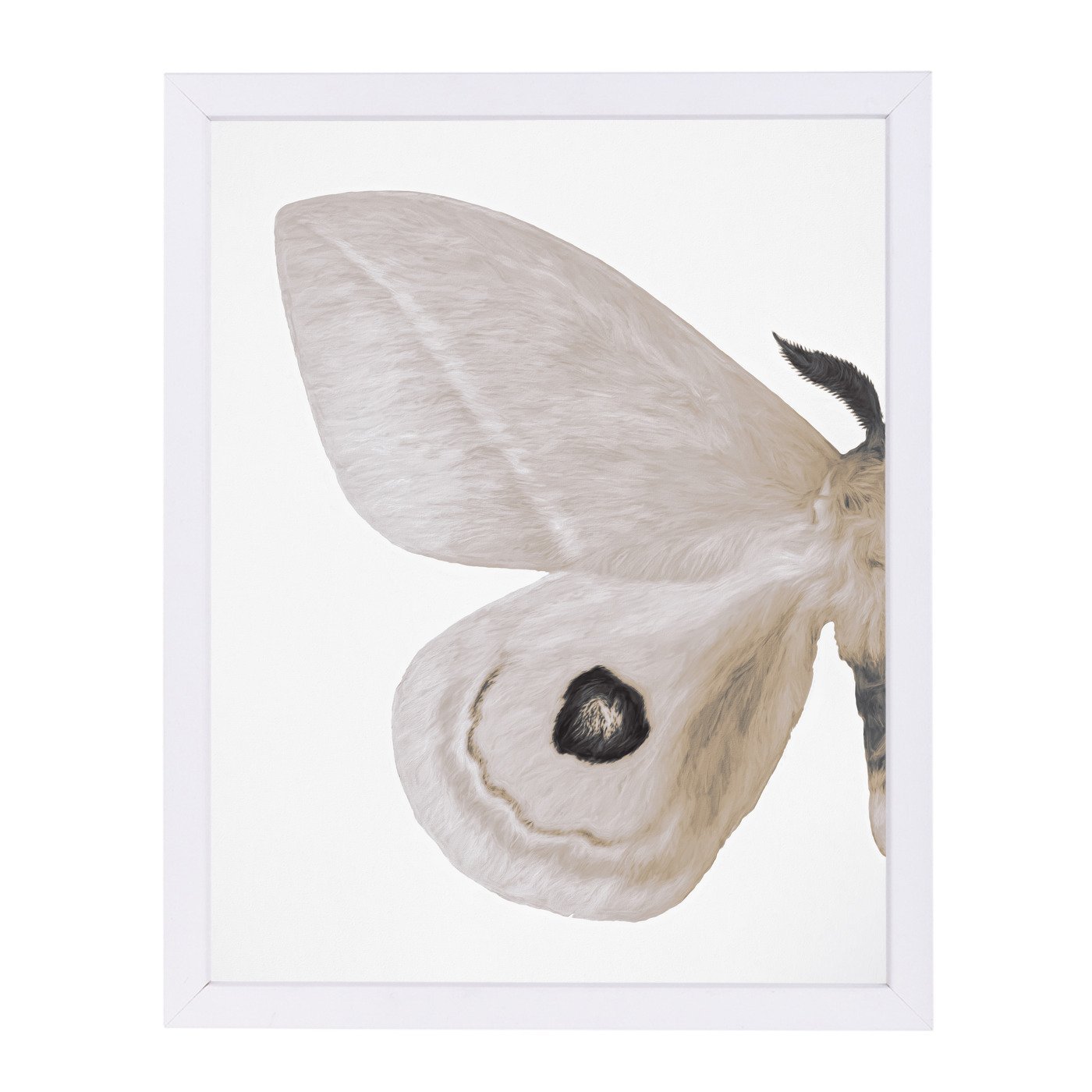 Alt Silver Moth I By Chaos & Wonder Design - White Framed Print - Wall Art - Americanflat