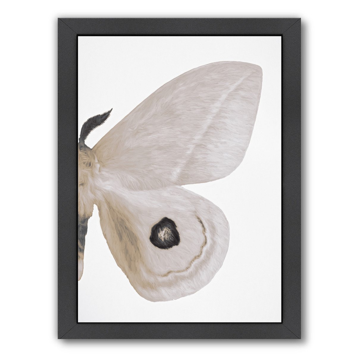 Alt Silver Moth Ii By Chaos & Wonder Design - Black Framed Print - Wall Art - Americanflat