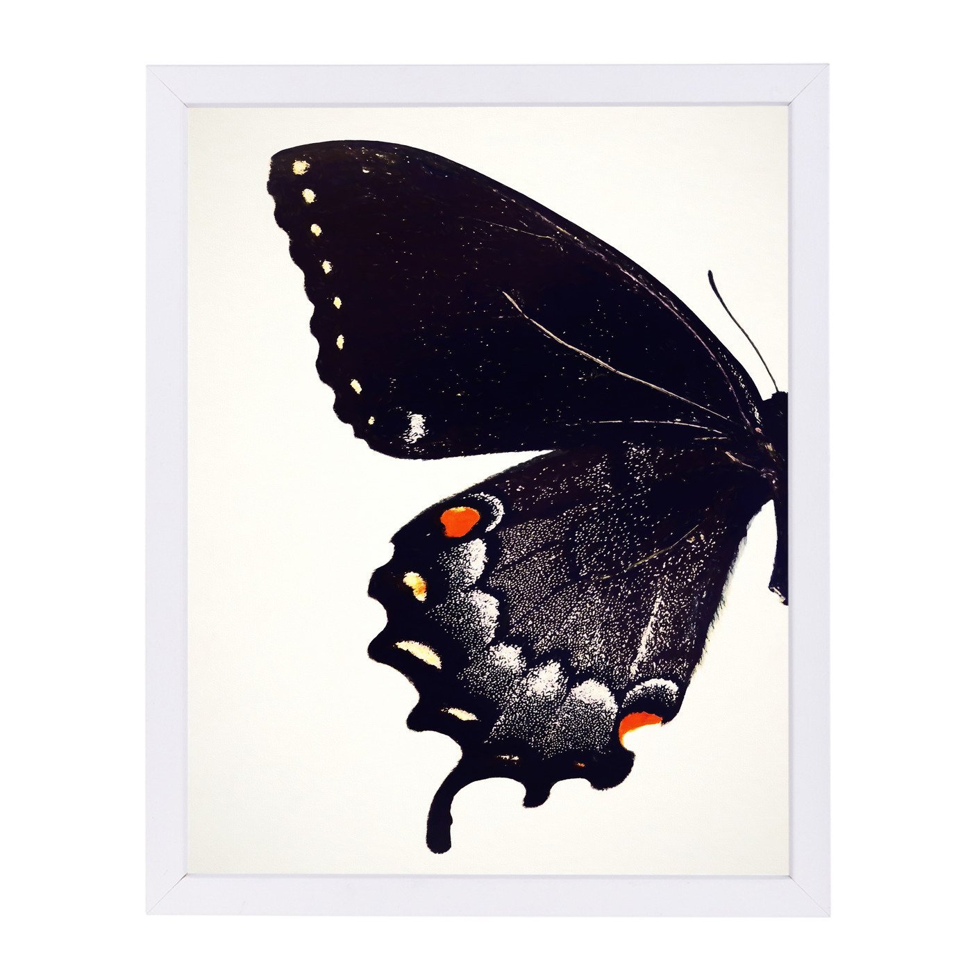 Black Swallowtail I By Chaos & Wonder Design - White Framed Print - Wall Art - Americanflat