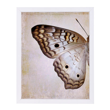 Gray Pansy Butterfly I By Chaos & Wonder Design - White Framed Print - Wall Art - Americanflat