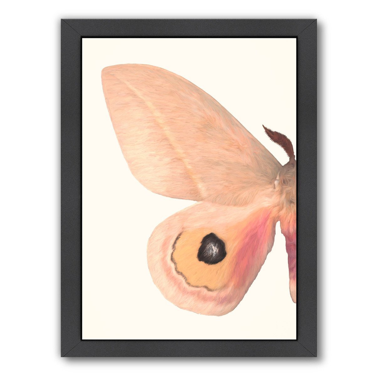 Alt Silk Moth I By Chaos & Wonder Design - Black Framed Print - Wall Art - Americanflat