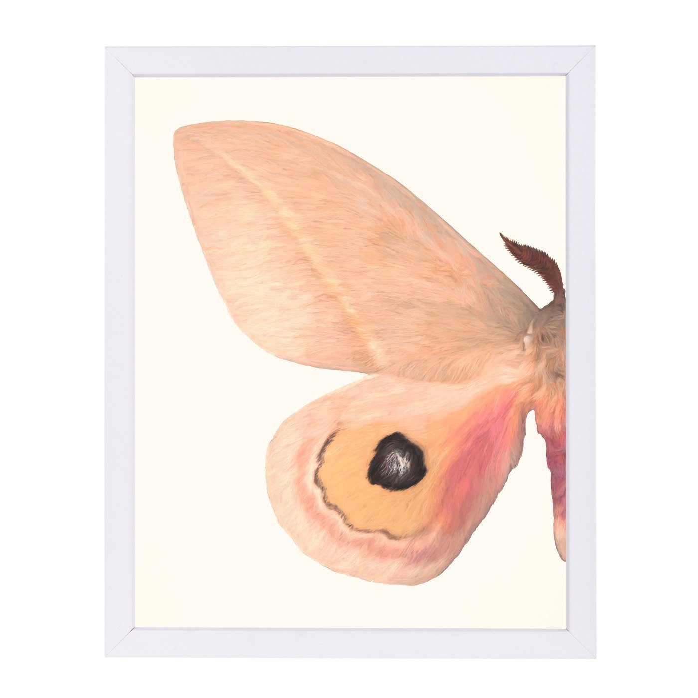 Alt Silk Moth I By Chaos & Wonder Design - Framed Print - Americanflat