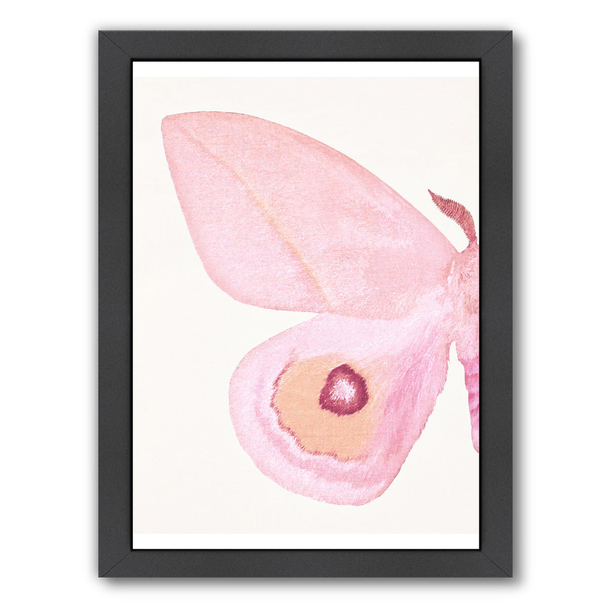 Pink Moth I By Chaos & Wonder Design - Black Framed Print - Wall Art - Americanflat