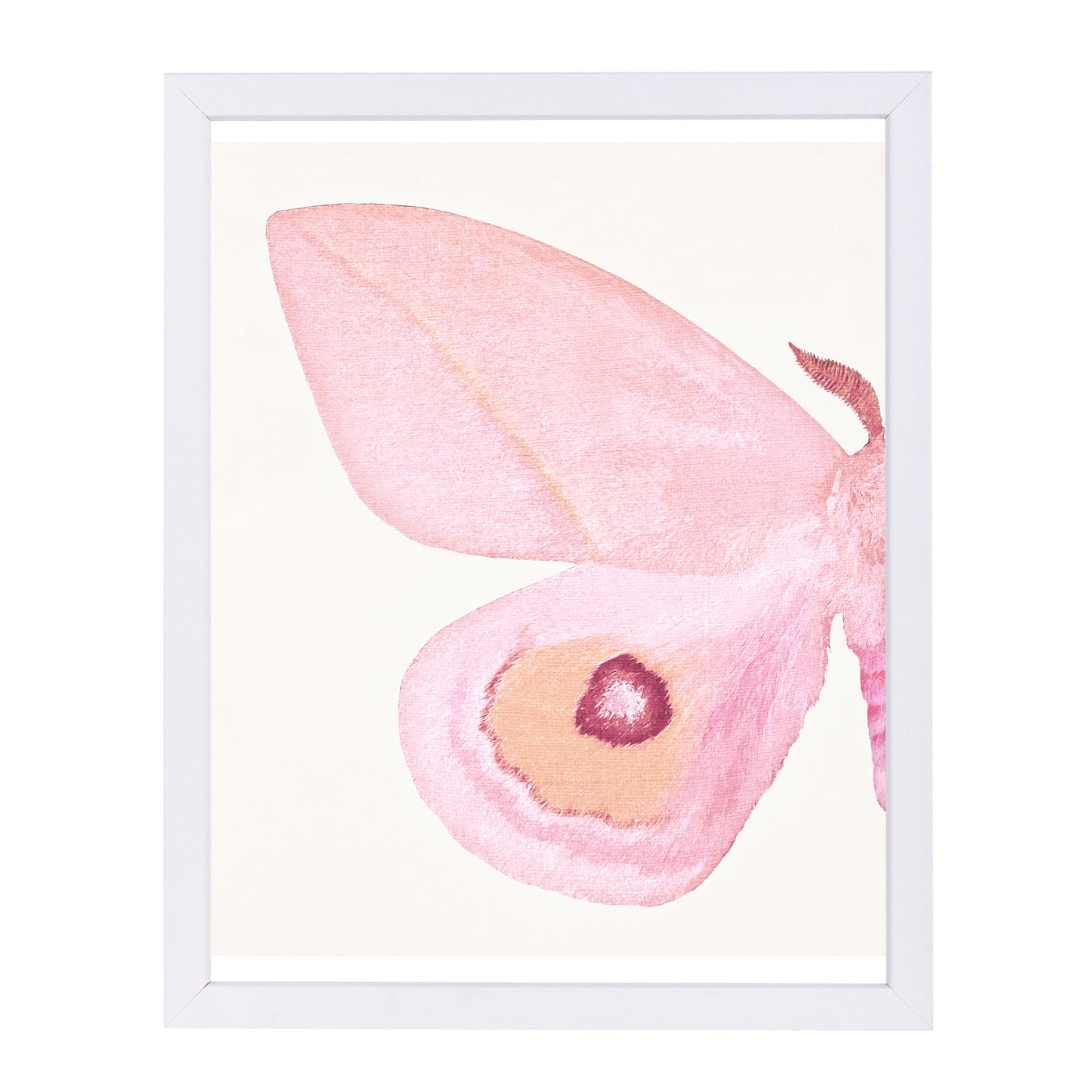 Pink Moth I By Chaos & Wonder Design - White Framed Print - Wall Art - Americanflat