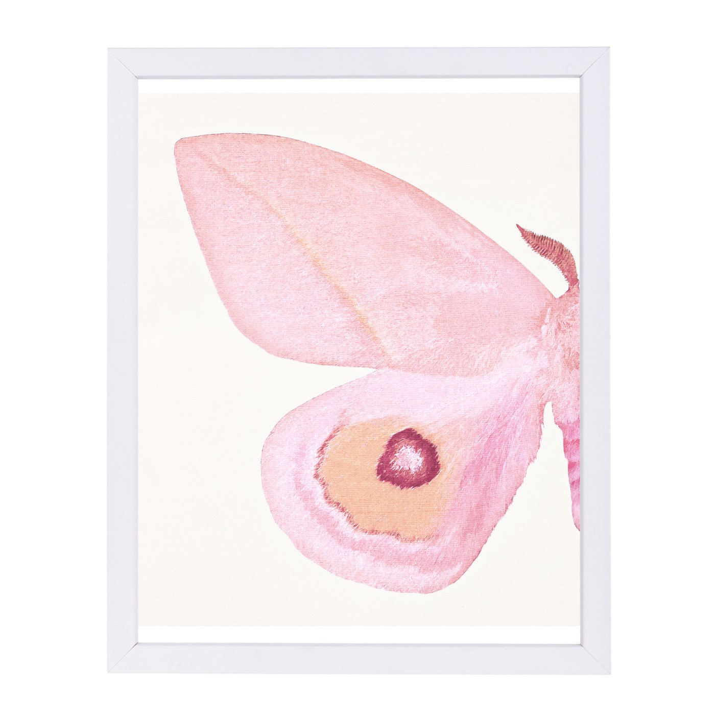 Pink Moth I By Chaos & Wonder Design - Framed Print - Americanflat