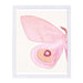 Pink Moth I By Chaos & Wonder Design - Framed Print - Americanflat
