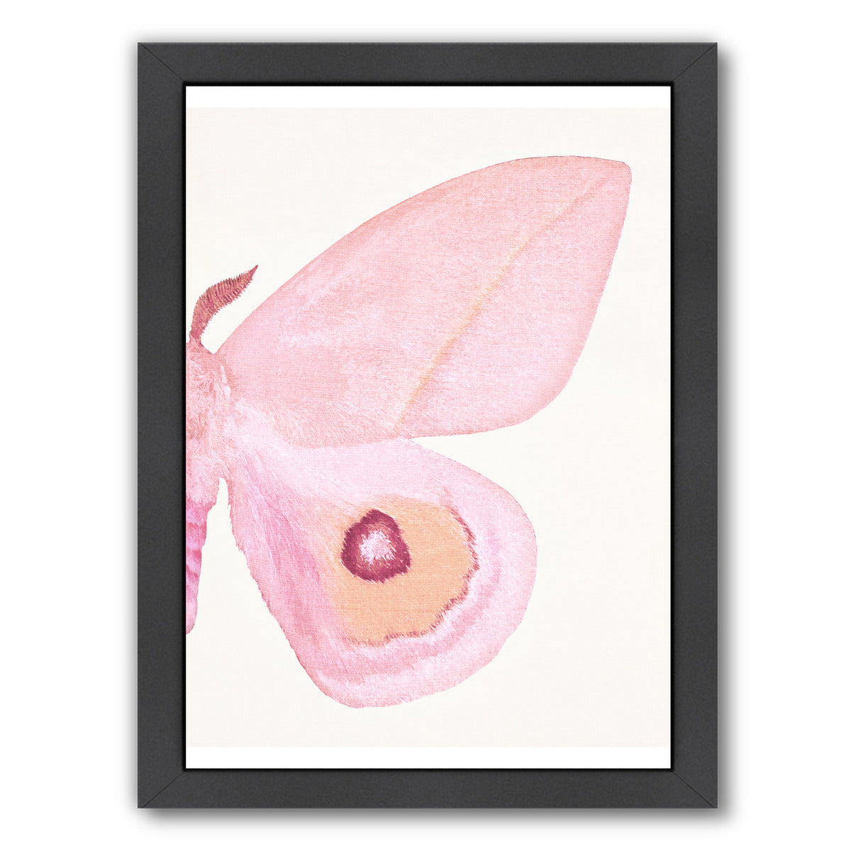 Pink Moth Ii By Chaos & Wonder Design - Black Framed Print - Wall Art - Americanflat