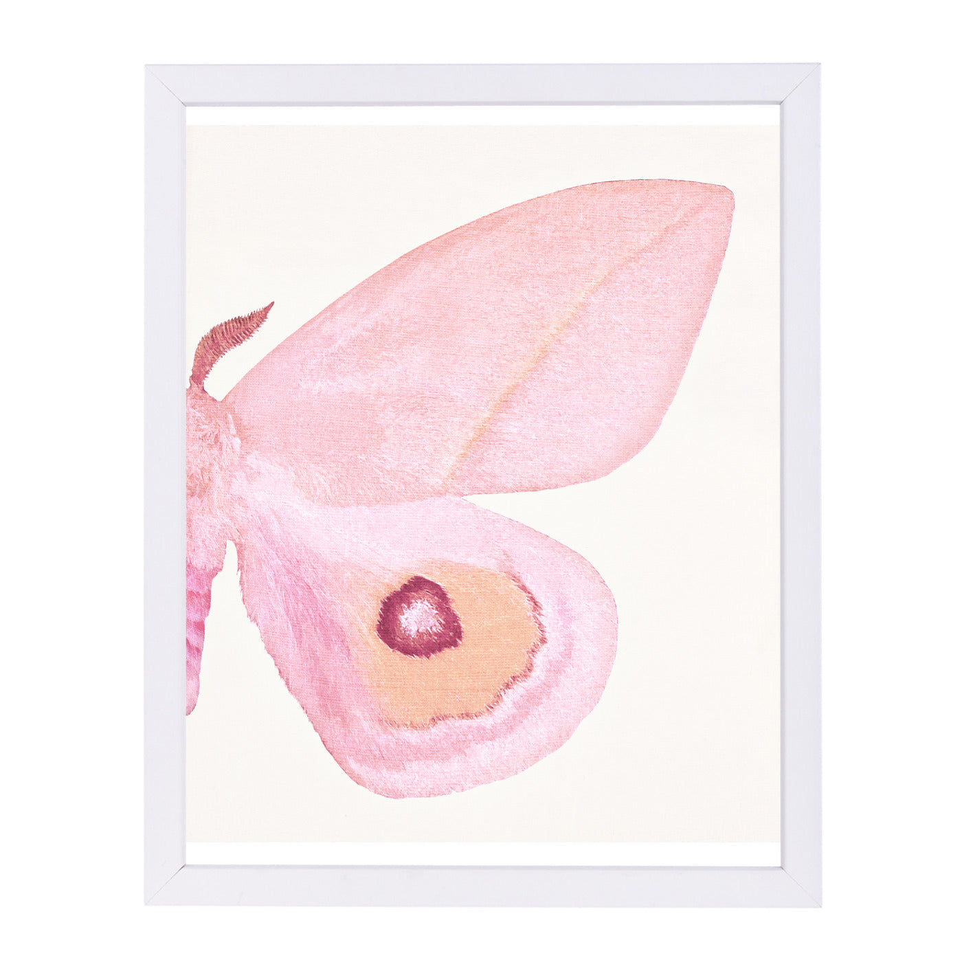 Pink Moth Ii By Chaos & Wonder Design - White Framed Print - Wall Art - Americanflat