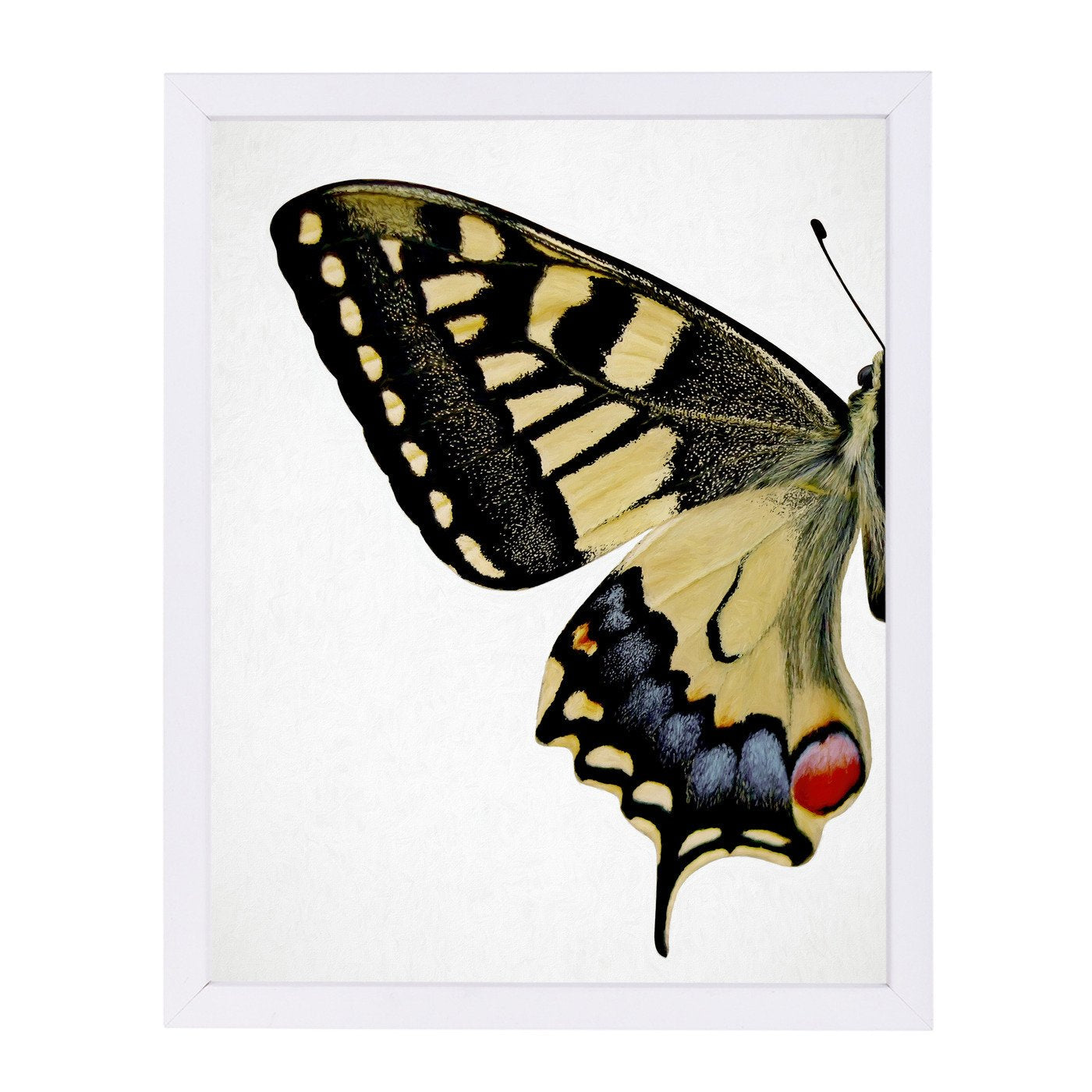 Swallowtail I By Chaos & Wonder Design - Framed Print - Americanflat