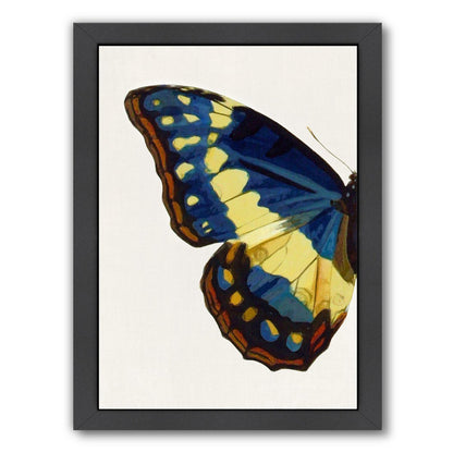 Blue Gold Butterfly I By Chaos & Wonder Design - Black Framed Print - Wall Art - Americanflat