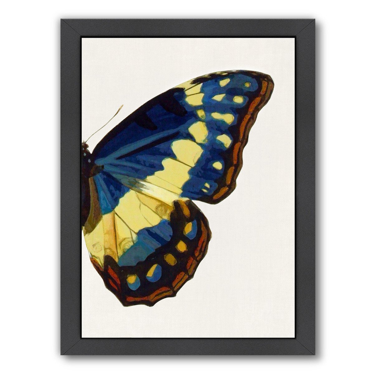 Blue Gold Butterfly Ii By Chaos & Wonder Design - Black Framed Print - Wall Art - Americanflat