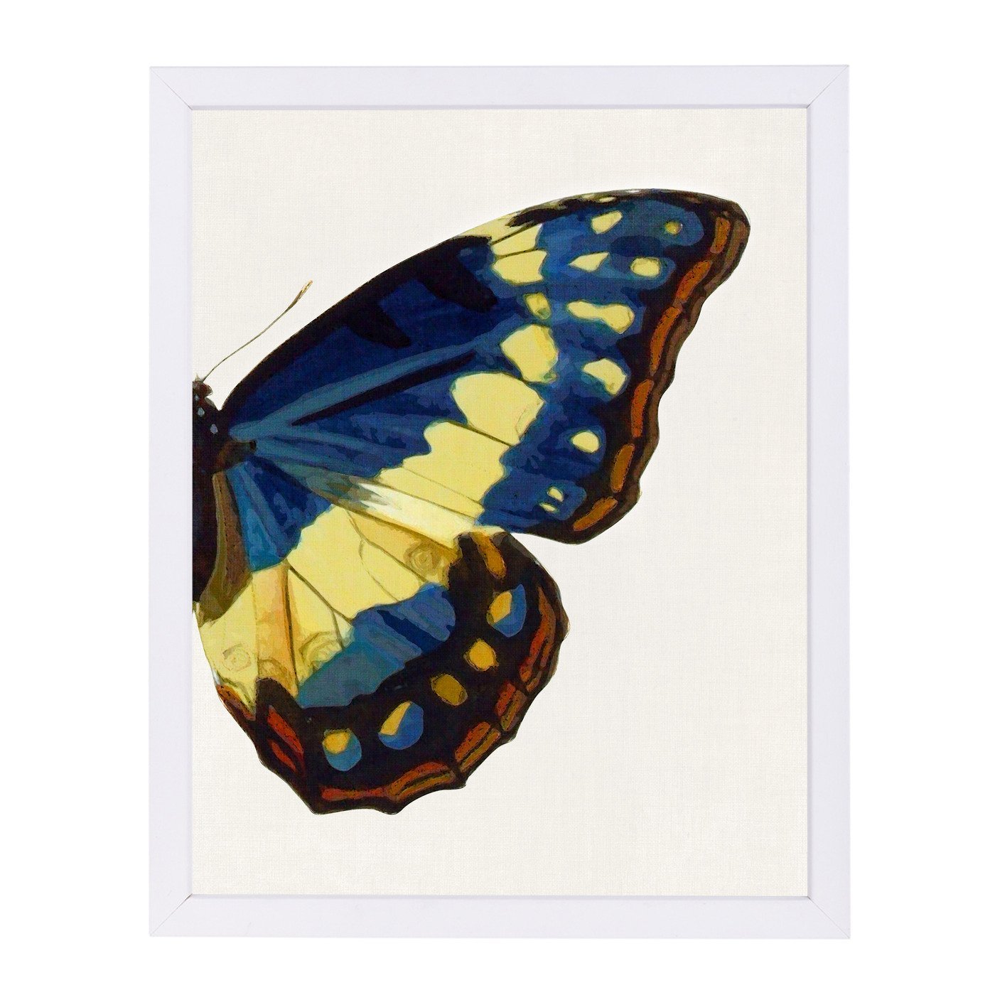 Blue Gold Butterfly Ii By Chaos & Wonder Design - White Framed Print - Wall Art - Americanflat