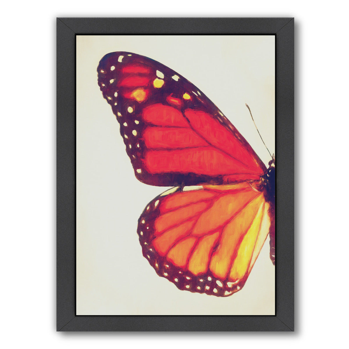 Monarch Butterfly I By Chaos & Wonder Design - Black Framed Print - Wall Art - Americanflat