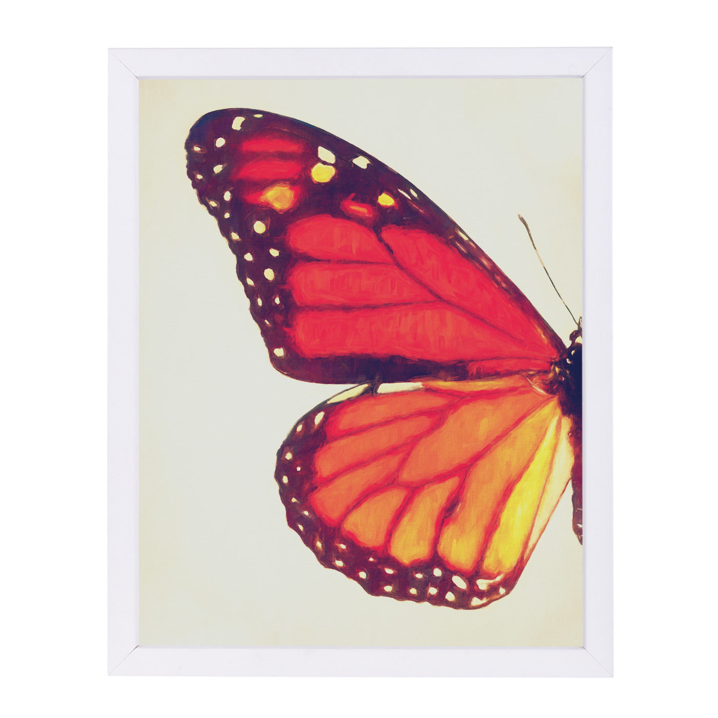 Monarch Butterfly I By Chaos & Wonder Design - White Framed Print - Wall Art - Americanflat