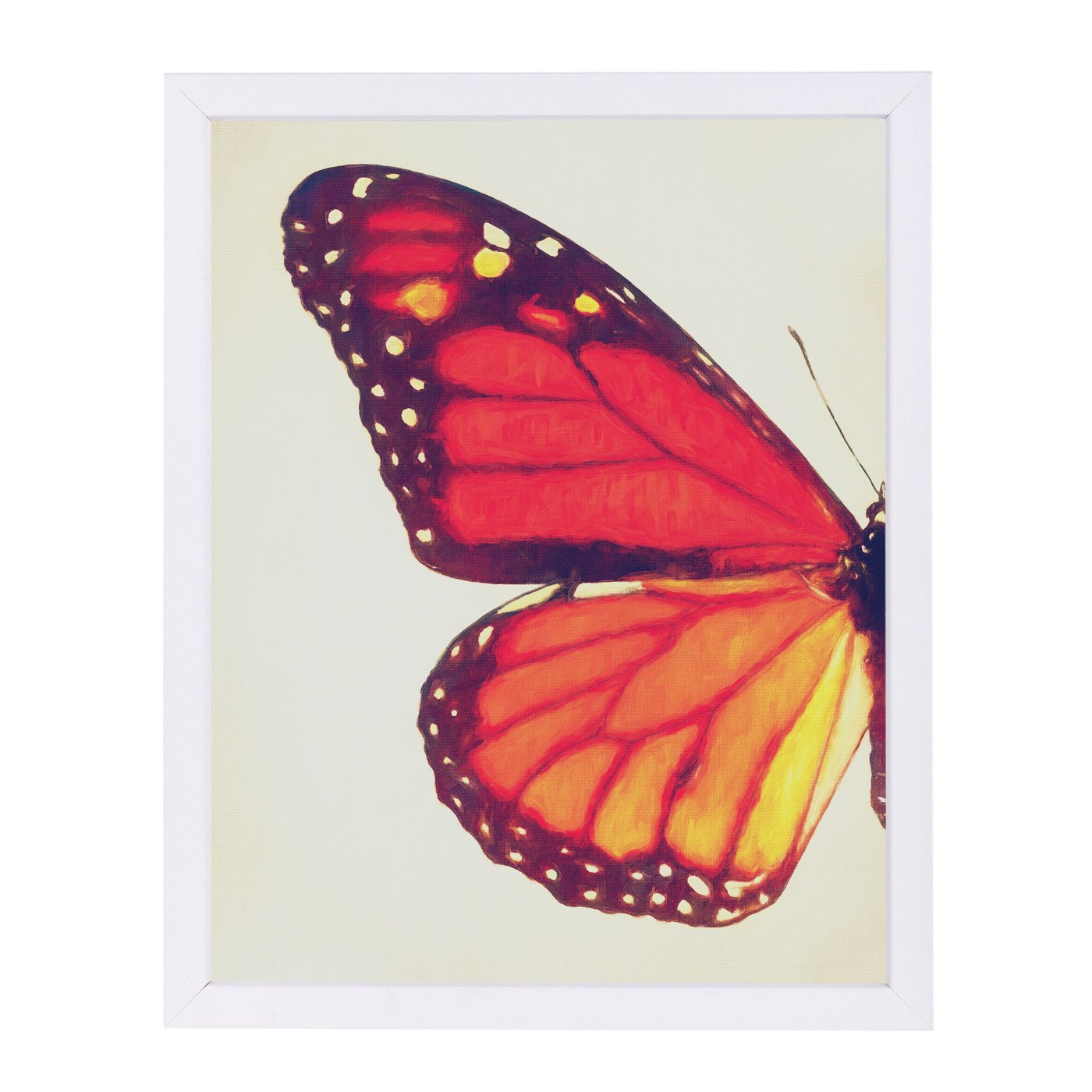 Monarch Butterfly I By Chaos & Wonder Design - Framed Print - Americanflat