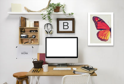 Monarch Butterfly I By Chaos & Wonder Design - White Framed Print - Wall Art - Americanflat