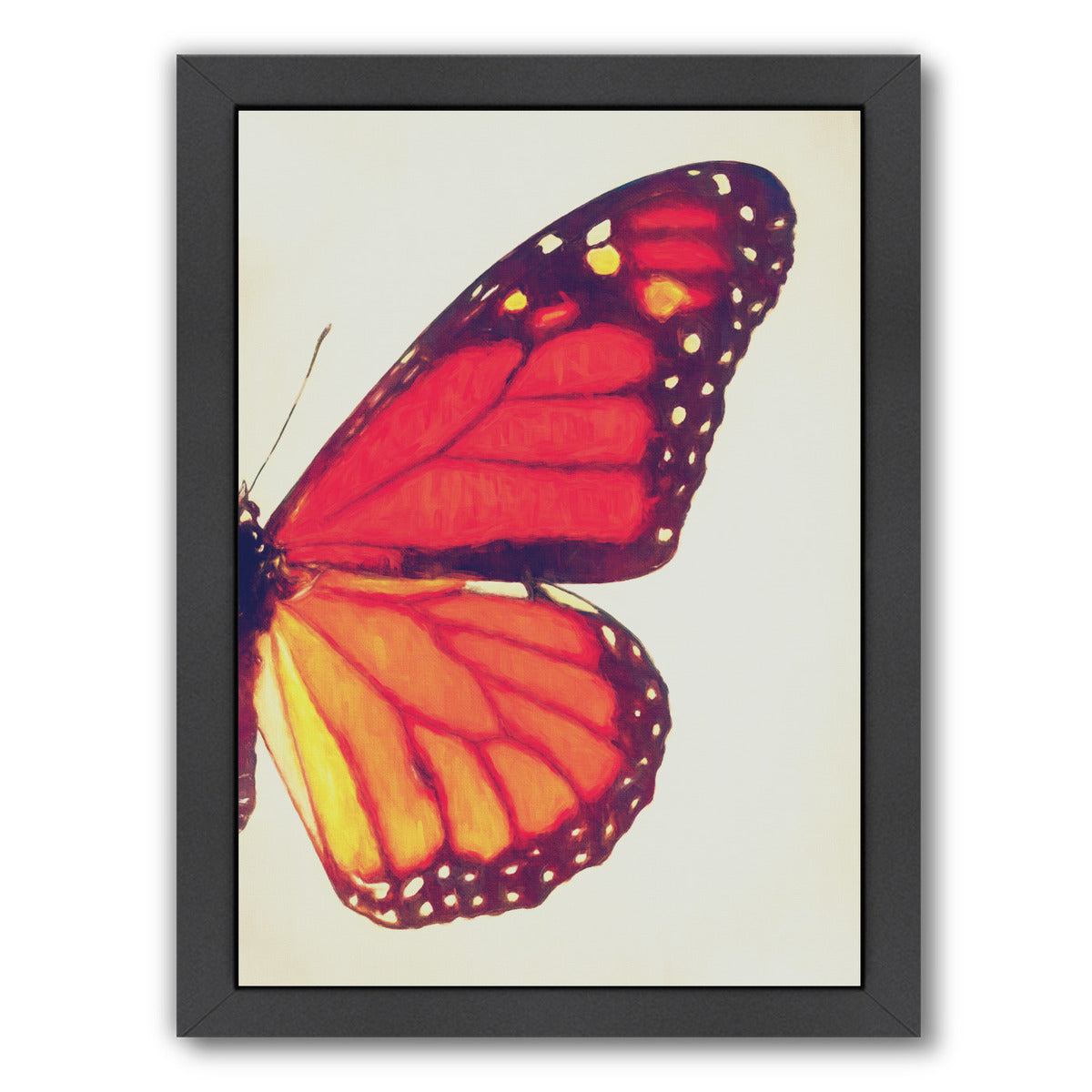 Monarch Butterfly Ii By Chaos & Wonder Design - Black Framed Print - Wall Art - Americanflat