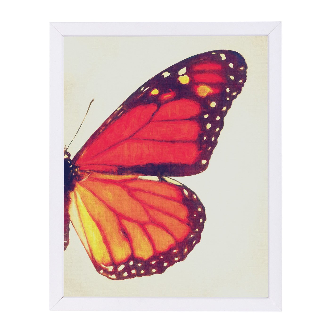 Monarch Butterfly Ii By Chaos & Wonder Design - Framed Print - Americanflat