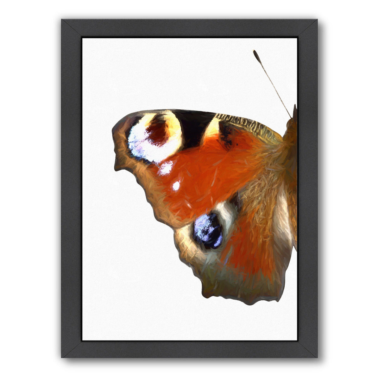 Peacock Butterfly Wing I By Chaos & Wonder Design - Black Framed Print - Wall Art - Americanflat