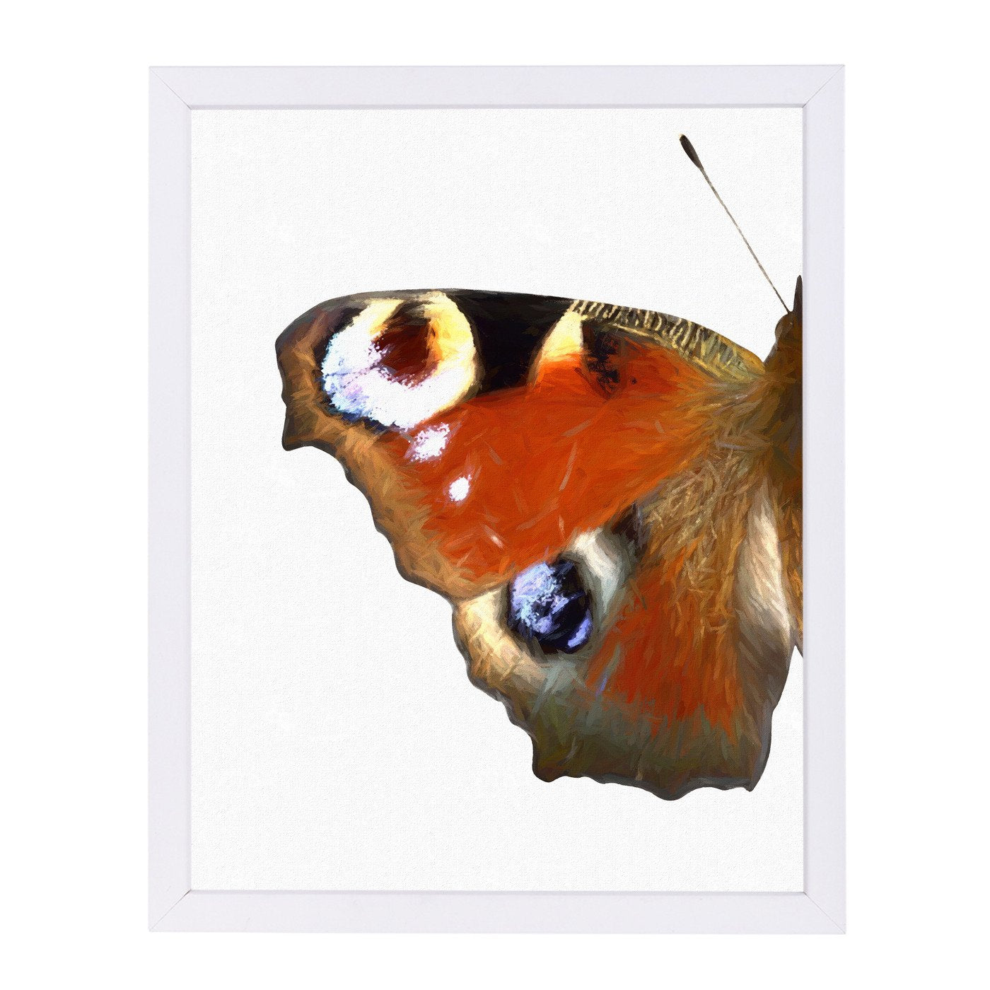 Peacock Butterfly Wing I By Chaos & Wonder Design - Framed Print - Americanflat