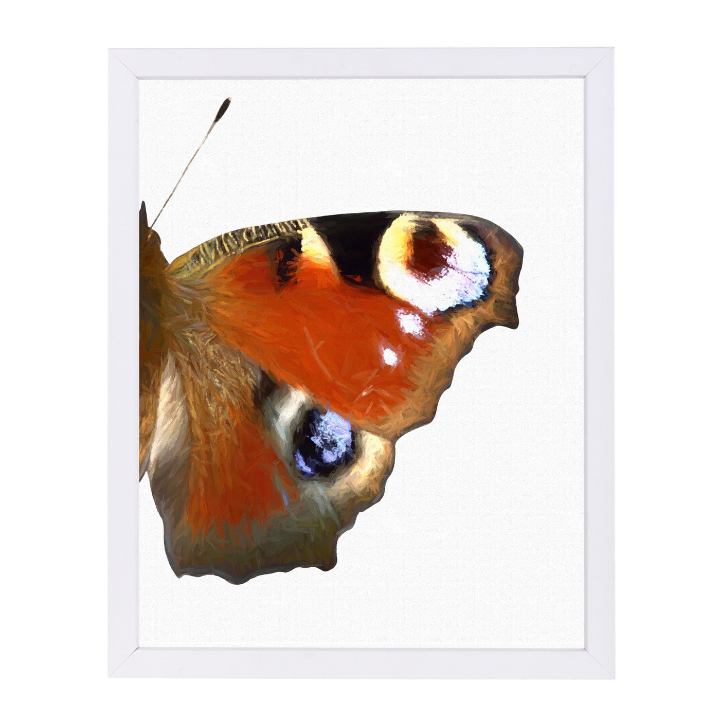 Peaock Butterfly Wing Ii By Chaos & Wonder Design - White Framed Print - Wall Art - Americanflat