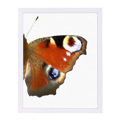 Peaock Butterfly Wing Ii By Chaos & Wonder Design - Framed Print - Americanflat