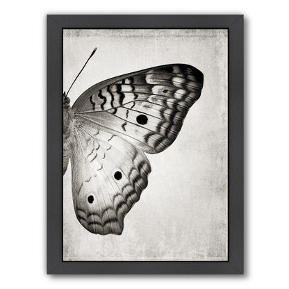 Gray Butterfly Ii By Chaos & Wonder Design - Black Framed Print - Wall Art - Americanflat
