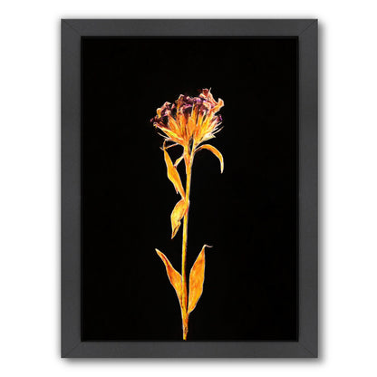 Dark Botanical I Master Layer By Chaos & Wonder Design - Black Framed Print - Wall Art - Americanflat