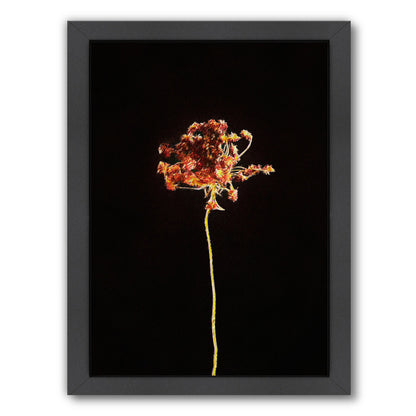 Dark Botanical Ii Master Layer By Chaos & Wonder Design - Black Framed Print - Wall Art - Americanflat