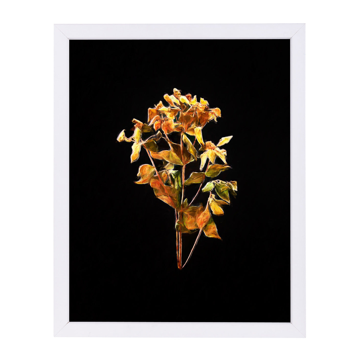 Dark Botanical03 Master Layer By Chaos & Wonder Design - White Framed Print - Wall Art - Americanflat