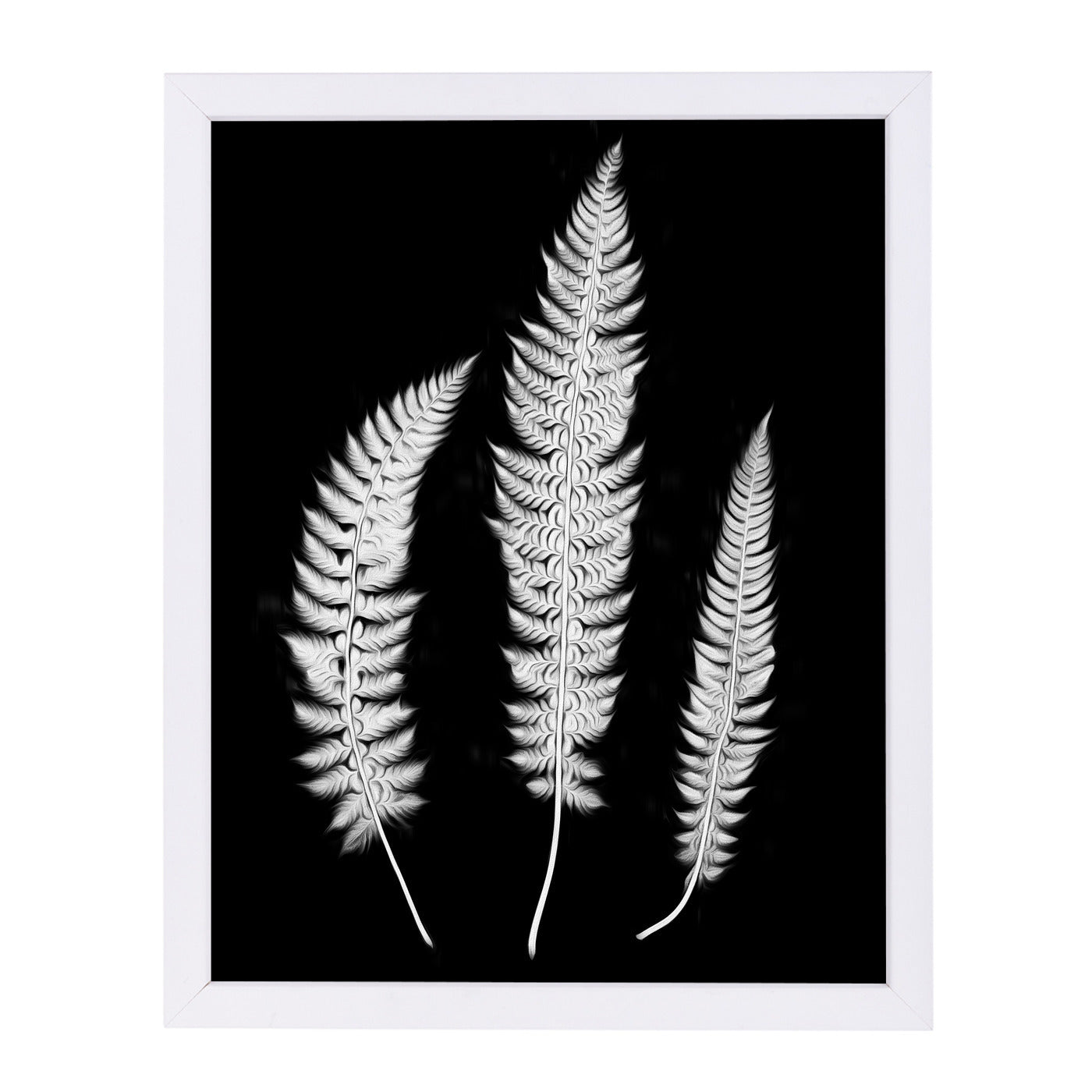 Swirl Ferns I By Chaos & Wonder Design - White Framed Print - Wall Art - Americanflat