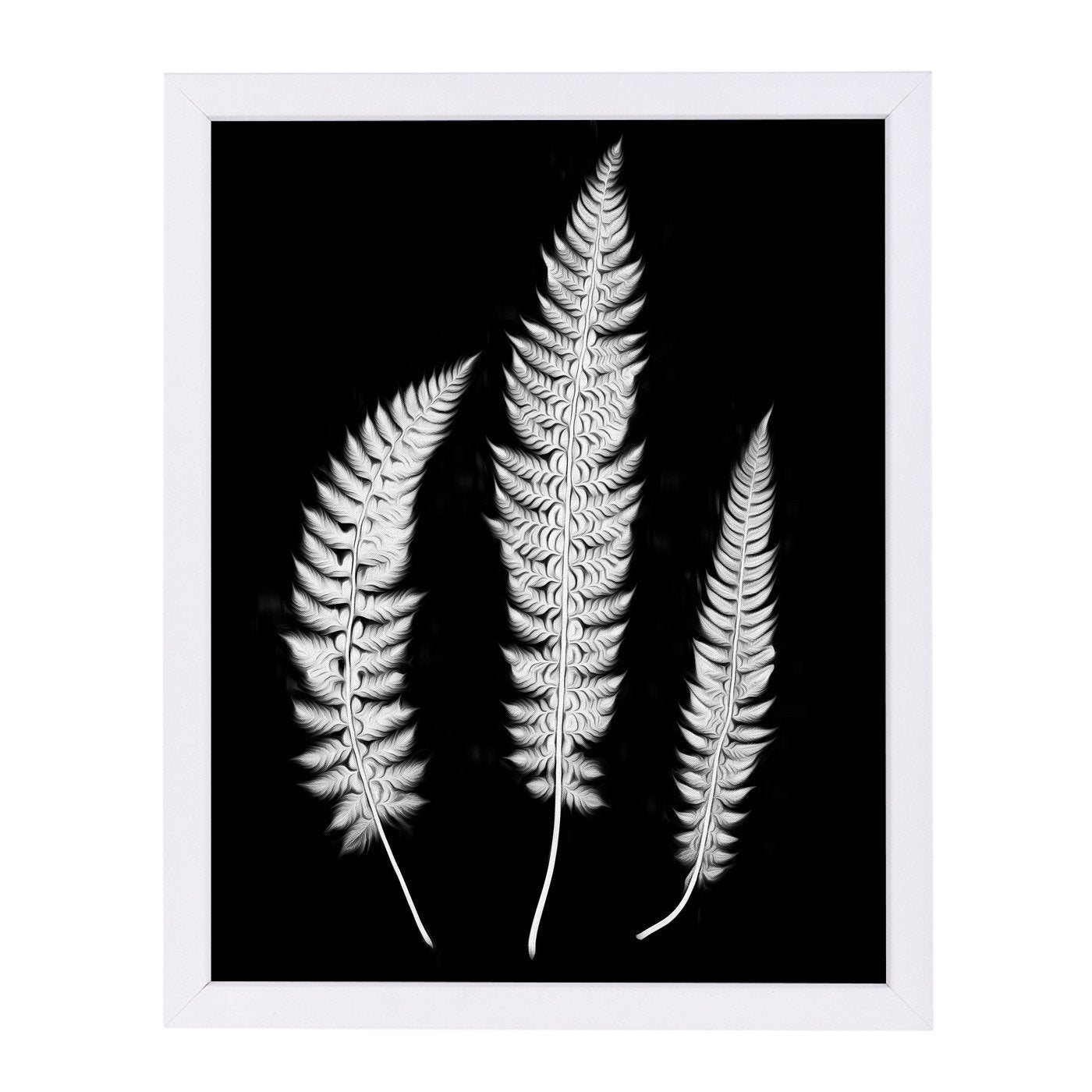 Swirl Ferns I By Chaos & Wonder Design - Framed Print - Americanflat