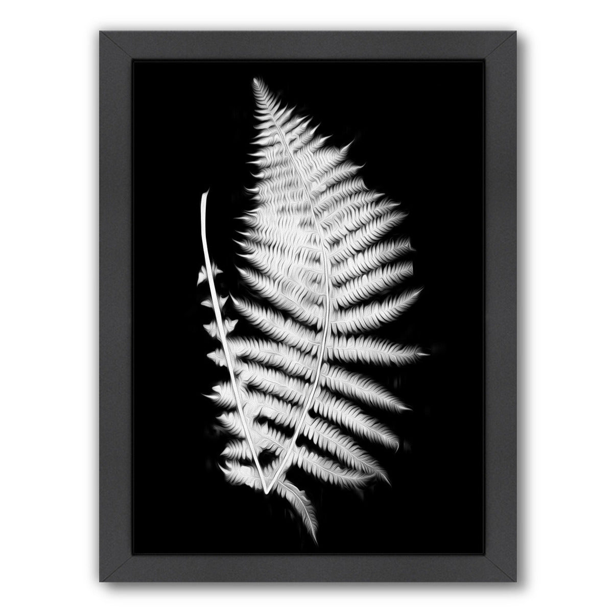 Swirl Fern Ii By Chaos & Wonder Design - Black Framed Print - Wall Art - Americanflat