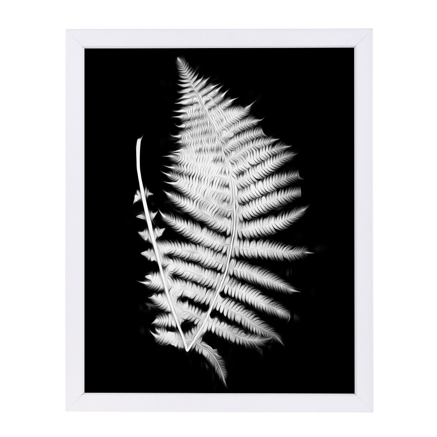 Swirl Fern Ii By Chaos & Wonder Design - White Framed Print - Wall Art - Americanflat