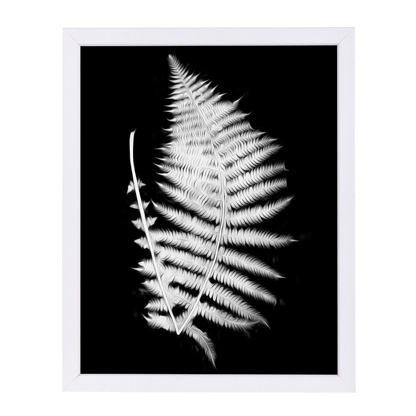 Swirl Fern Ii By Chaos & Wonder Design - Framed Print - Americanflat