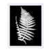 Swirl Fern Ii By Chaos & Wonder Design - Framed Print - Americanflat