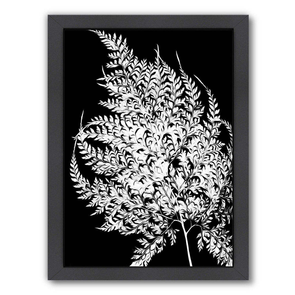 Swirl Fern Iii By Chaos & Wonder Design - Black Framed Print - Wall Art - Americanflat