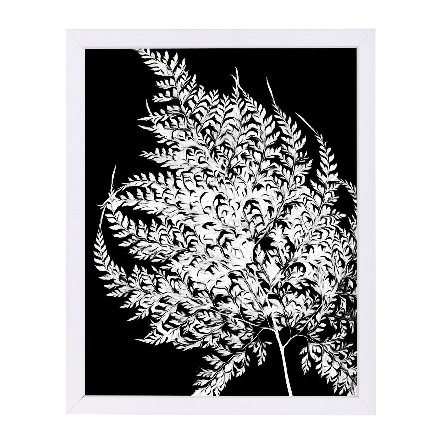 Swirl Fern Iii By Chaos & Wonder Design - Framed Print - Americanflat