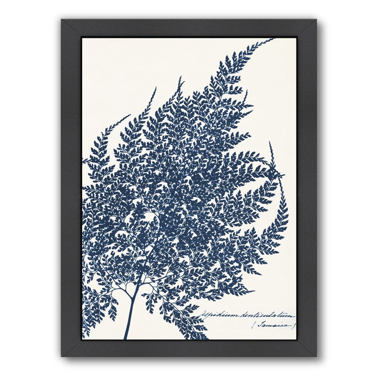 Blue Fern I By Chaos & Wonder Design - Black Framed Print - Wall Art - Americanflat