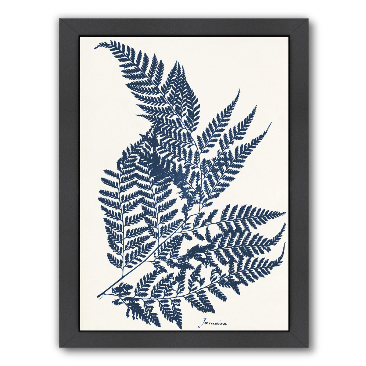 Blue Fern Ii By Chaos & Wonder Design - Black Framed Print - Wall Art - Americanflat
