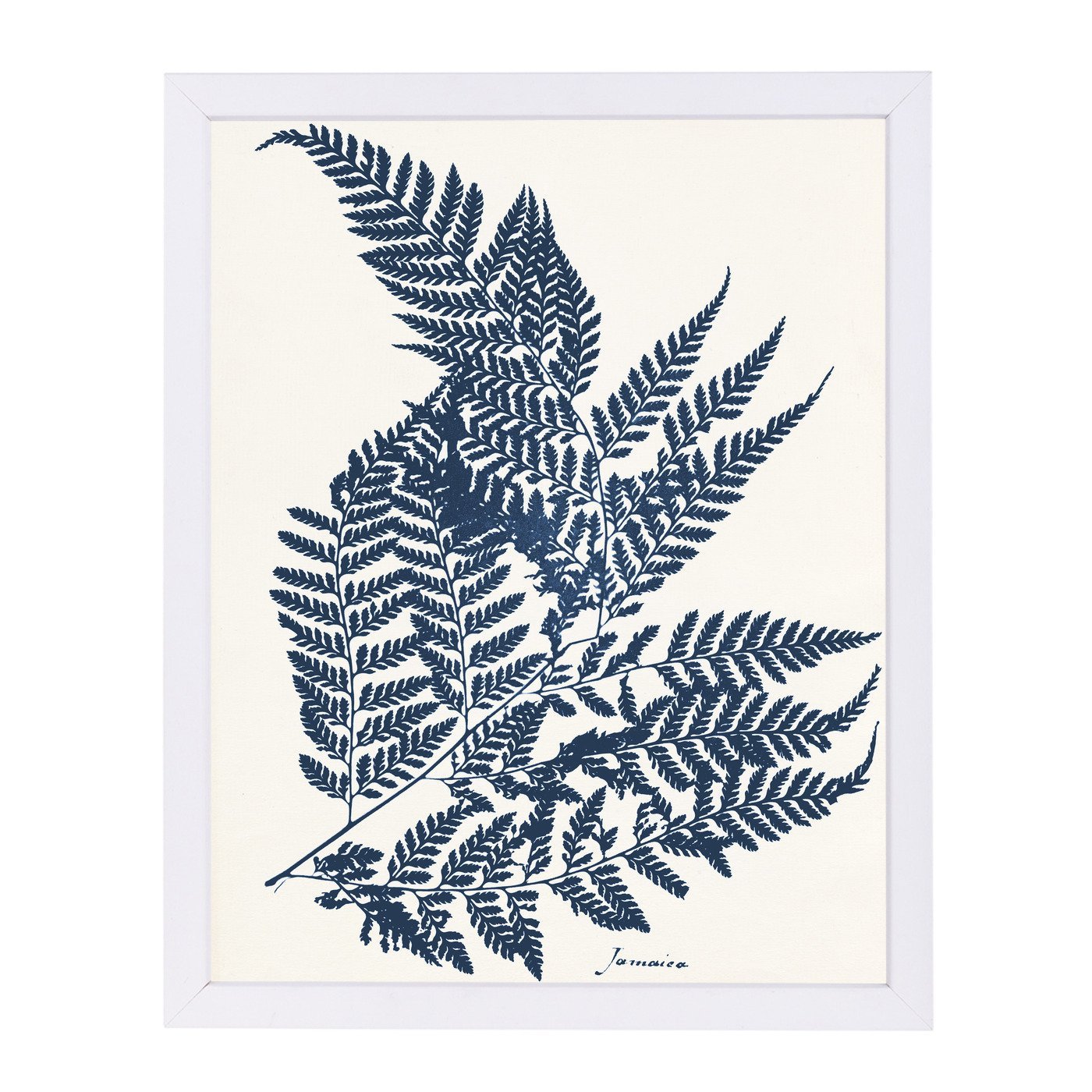 Blue Fern Ii By Chaos & Wonder Design - White Framed Print - Wall Art - Americanflat