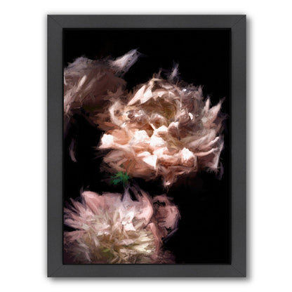 Abstract Peonies By Chaos & Wonder Design - Black Framed Print - Wall Art - Americanflat